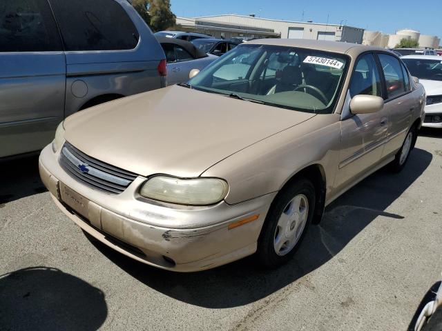 CHEVROLET MALIBU 2001 1g1ne52j316145275