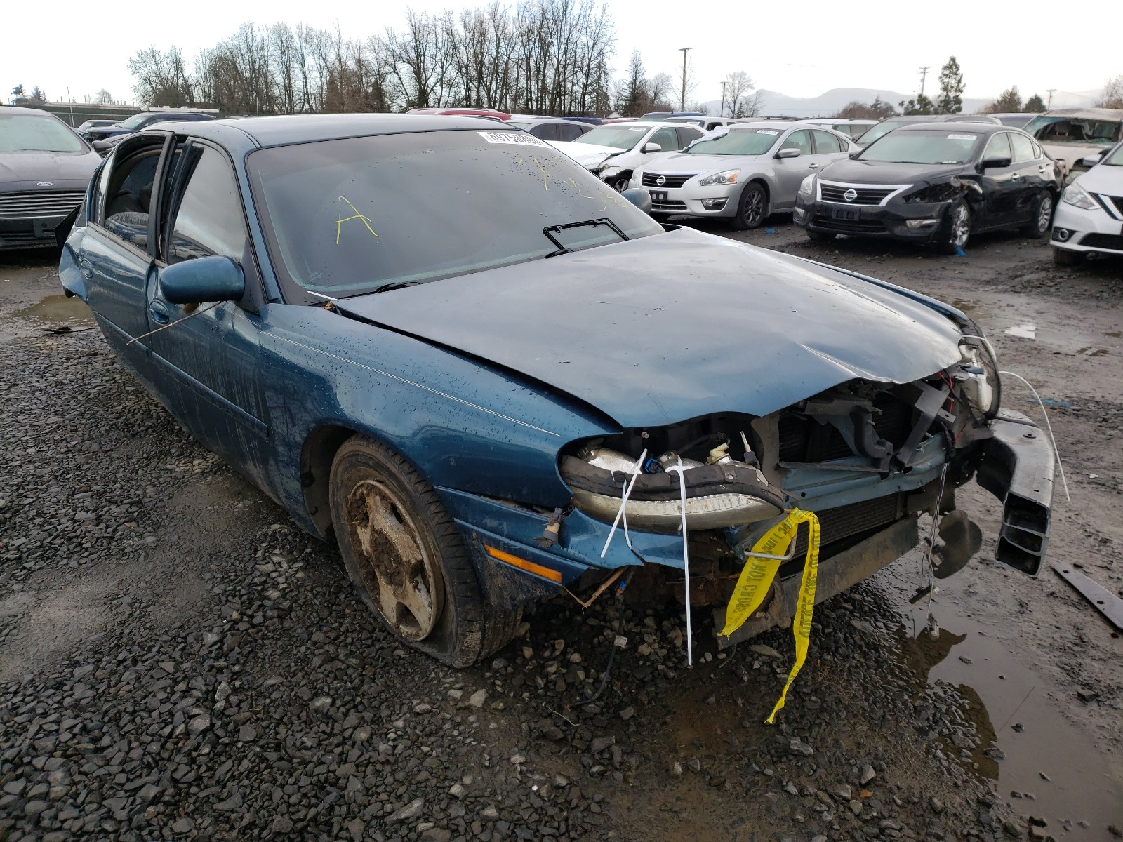 CHEVROLET MALIBU LS 2003 1g1ne52j43m710020