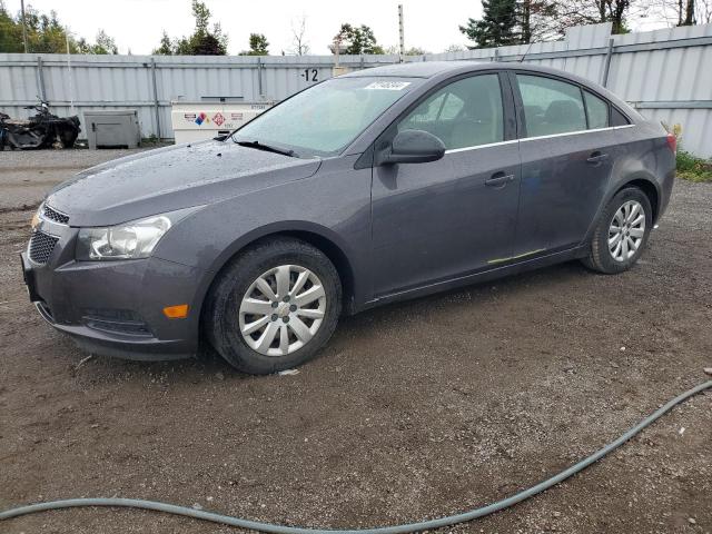 CHEVROLET CRUZE LS 2011 1g1pa5sh3b7177947