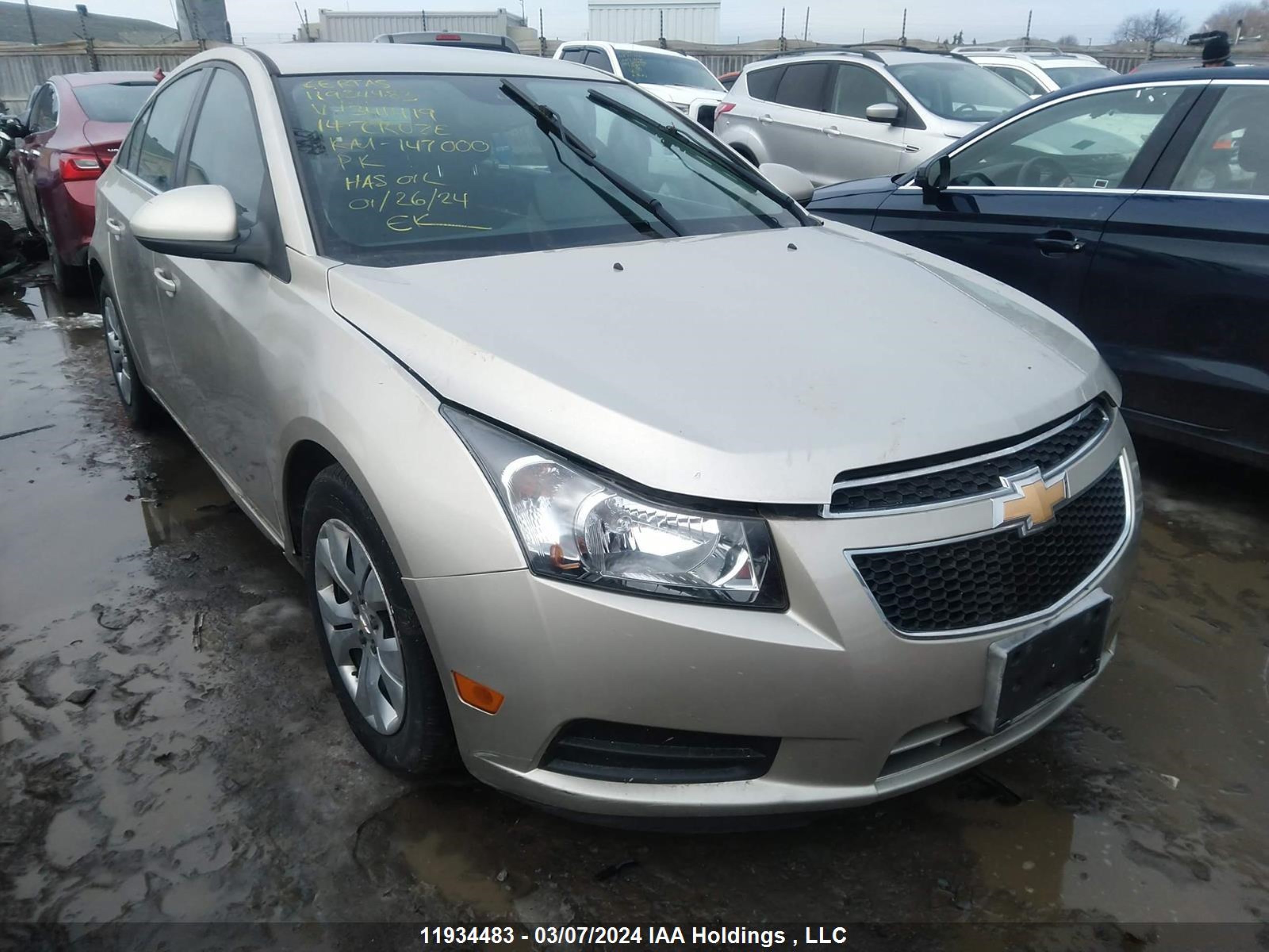 CHEVROLET CRUZE 2014 1g1pc5sb7e7341419