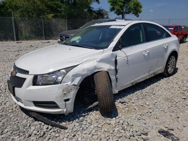 CHEVROLET CRUZE ECO 2012 1g1pj5sc6c7142177