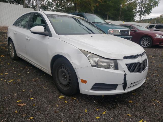 CHEVROLET CRUZE ECO 2011 1g1pk5s92b7307545