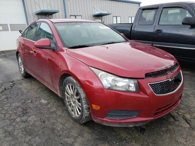 CHEVROLET CRUZE ECO 2011 1g1pk5s95b7286514