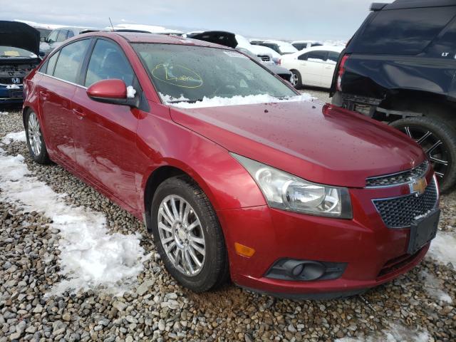 CHEVROLET CRUZE ECO 2011 1g1pk5s99b7285513