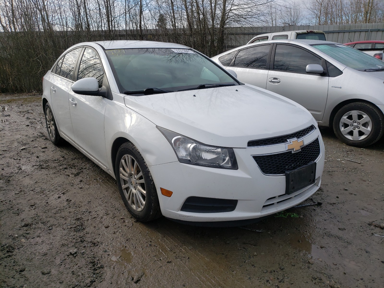 CHEVROLET CRUZE 2011 1g1pk5s99b7294356