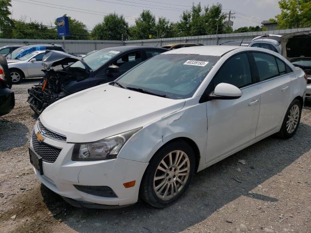 CHEVROLET CRUZE ECO 2012 1g1pk5sc5c7348961