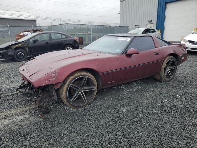 CHEVROLET CORVETTE 1985 1g1yy0785f5101708