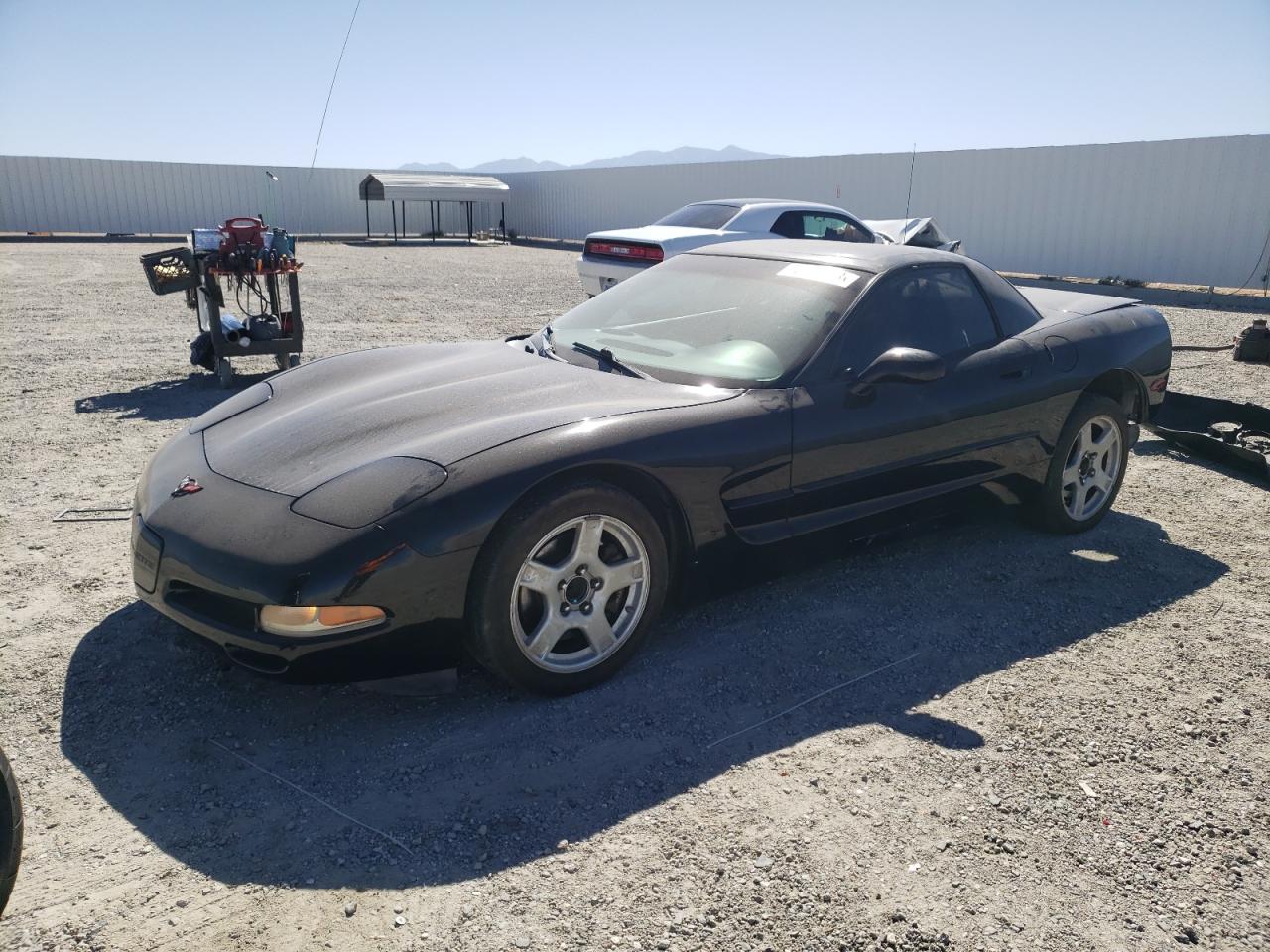 CHEVROLET CORVETTE 1999 1g1yy12g2x5110629