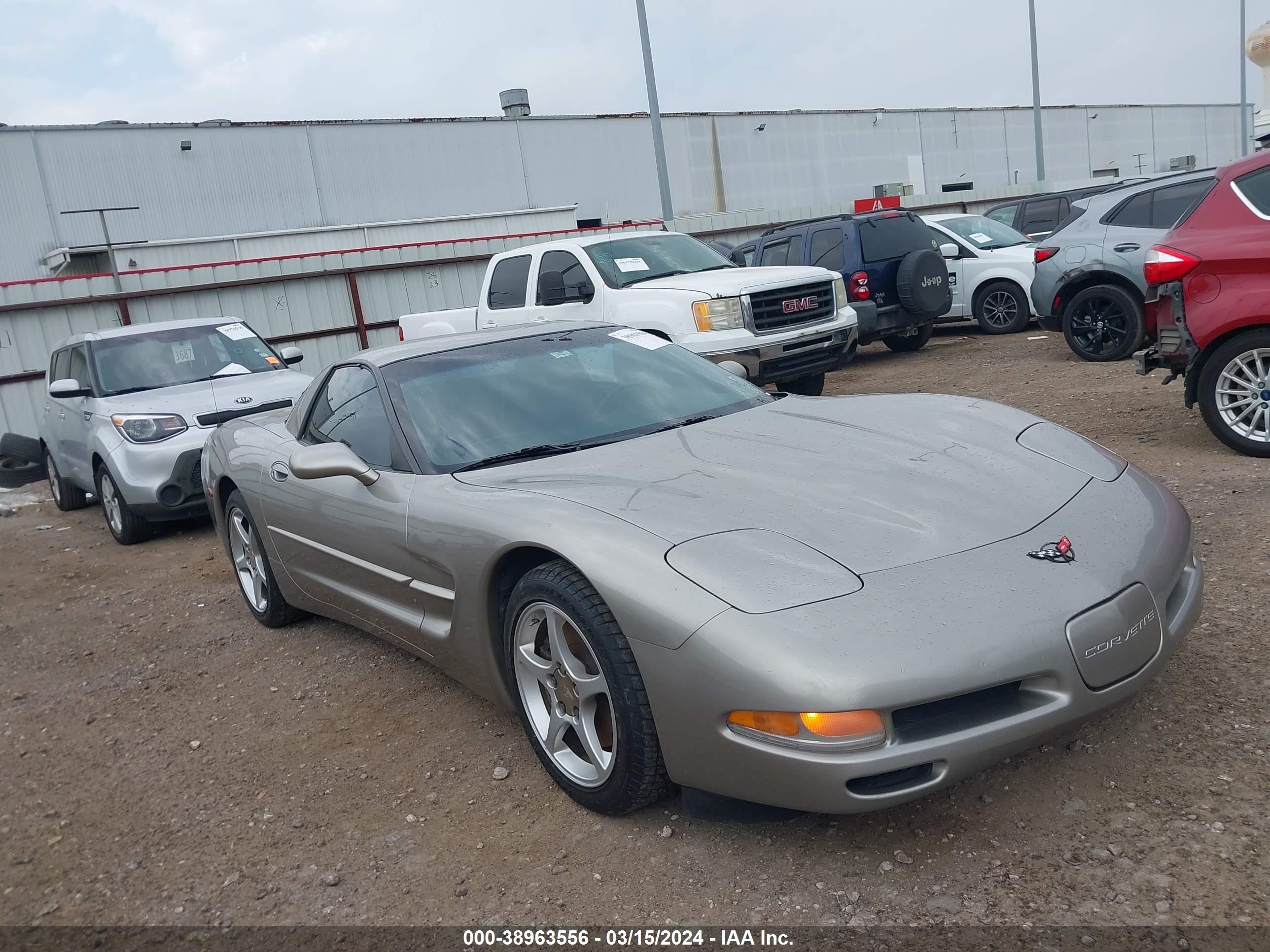 CHEVROLET CORVETTE 1999 1g1yy12g3x5111949