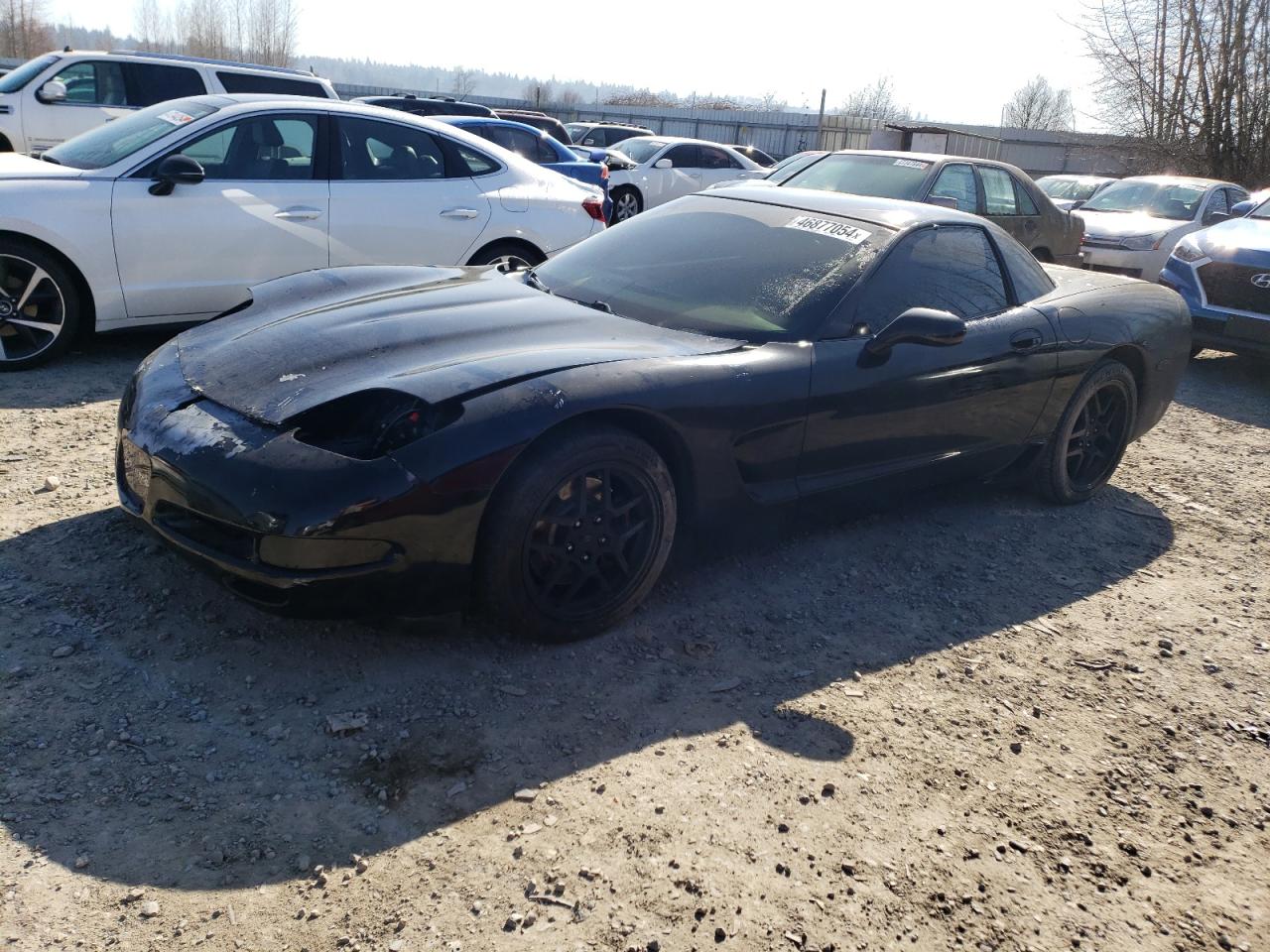 CHEVROLET CORVETTE 2001 1g1yy12s015102461