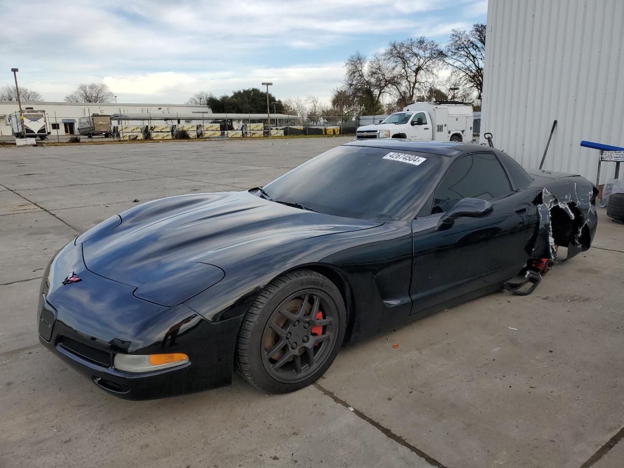 CHEVROLET CORVETTE 2002 1g1yy12s125102003