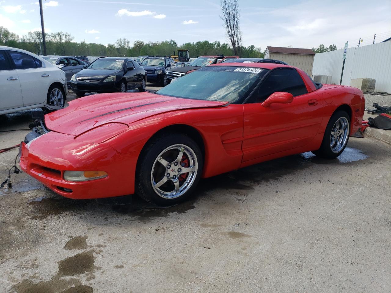 CHEVROLET CORVETTE 1998 1g1yy22g4w5117800