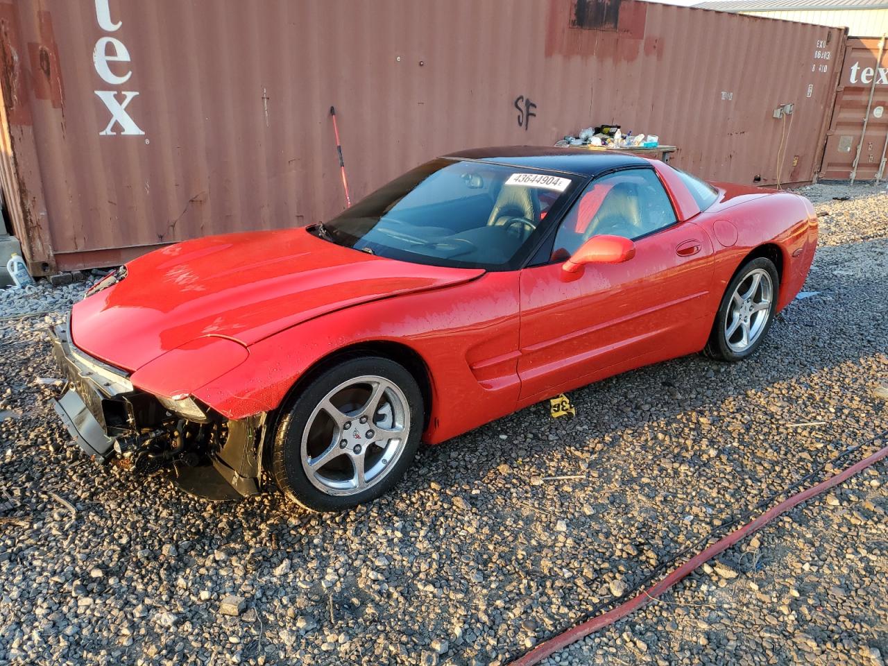 CHEVROLET CORVETTE 2004 1g1yy22g745100454