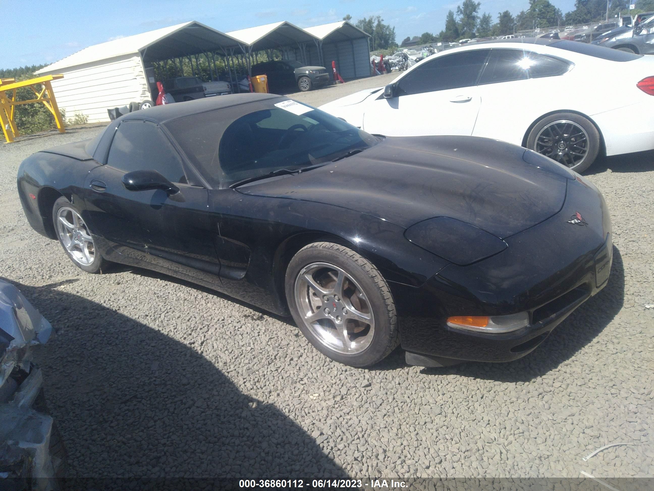 CHEVROLET CORVETTE 2002 1g1yy22g825122847