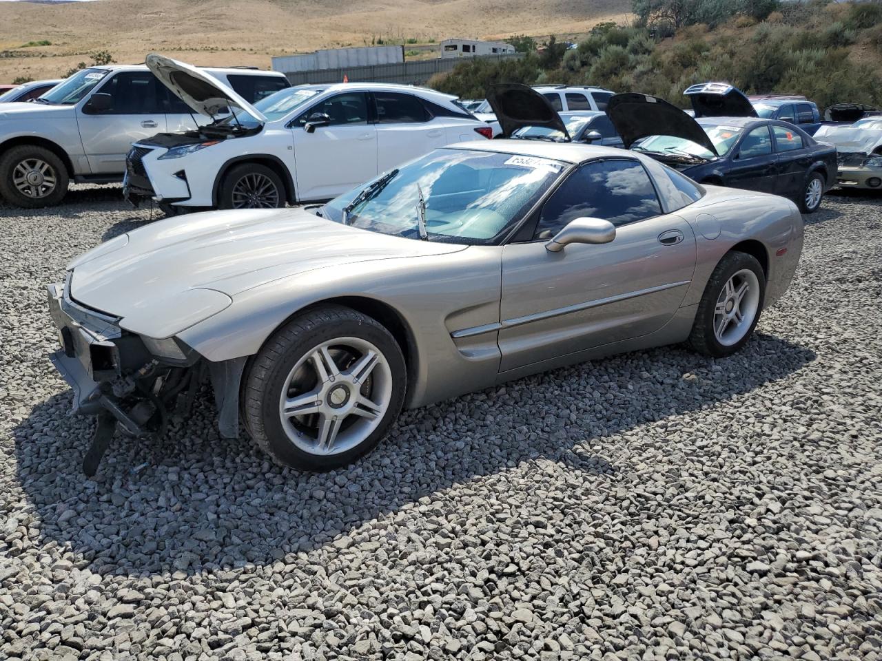 CHEVROLET CORVETTE 2002 1g1yy22gx25118444