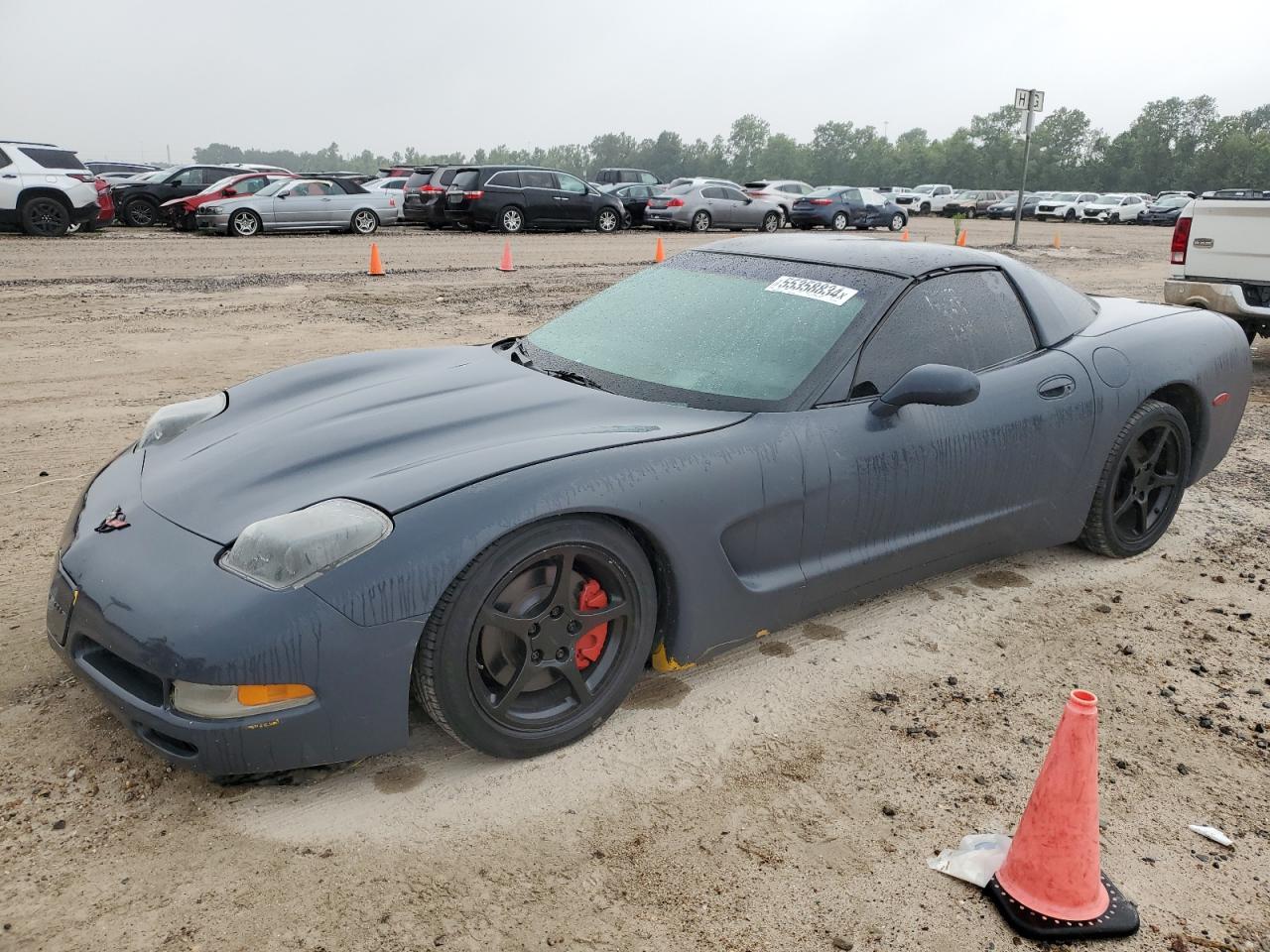 CHEVROLET CORVETTE 2002 1g1yy22gx25120145