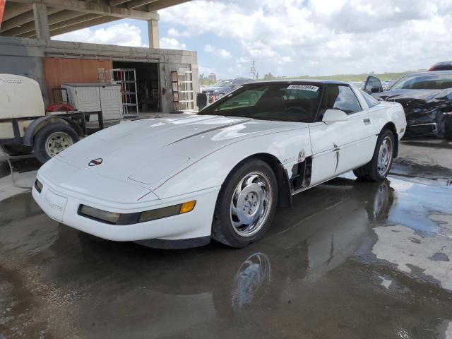 CHEVROLET CORVETTE 1994 1g1yy22p1r5105575