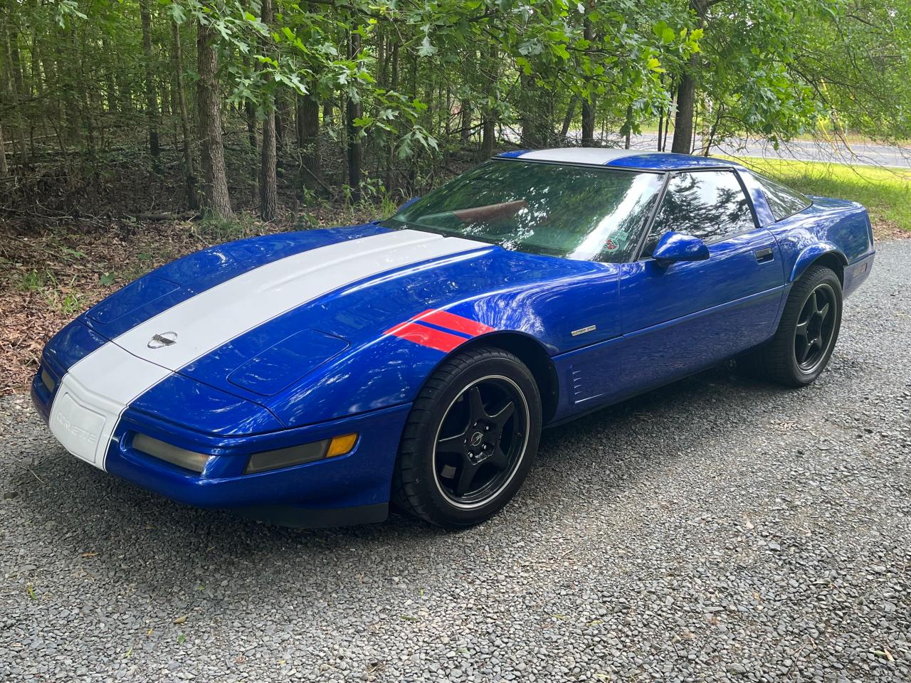 CHEVROLET CORVETTE 1995 1g1yy22pxs5110375