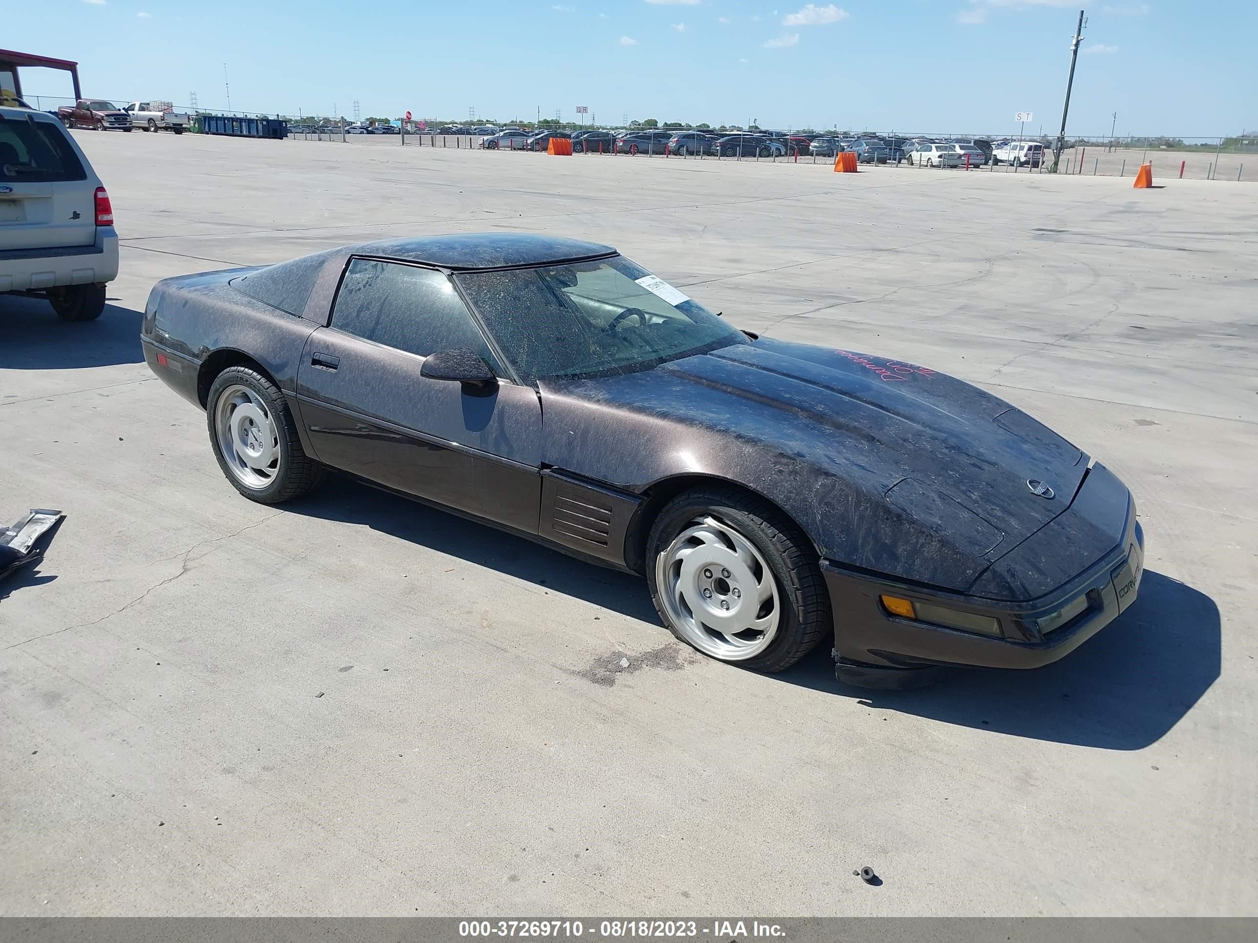 CHEVROLET CORVETTE 1991 1g1yy2384m5114643