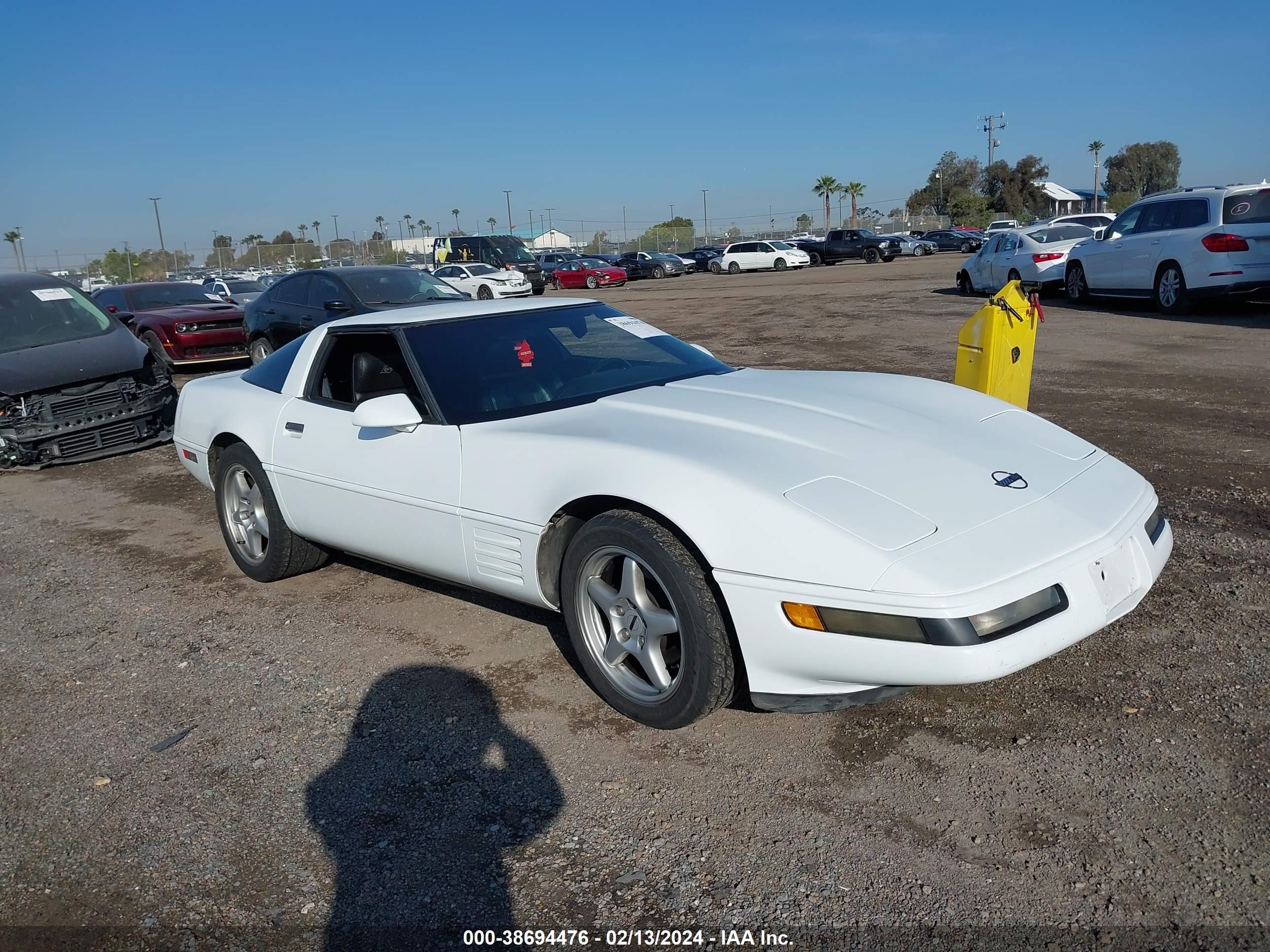 CHEVROLET CORVETTE 1993 1g1yy23p0p5109063