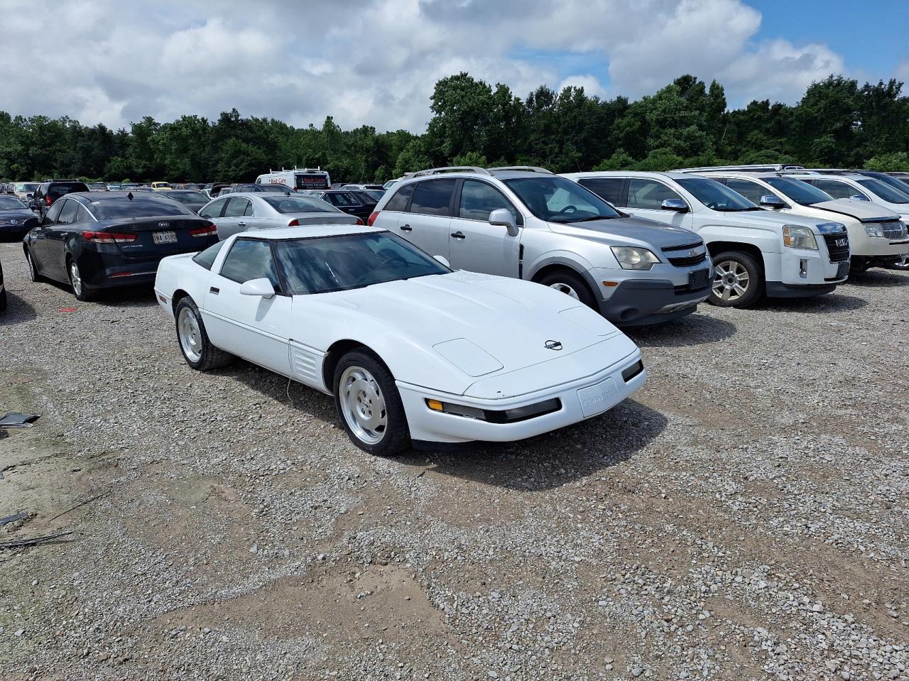 CHEVROLET CORVETTE 1993 1g1yy23p0p5116854