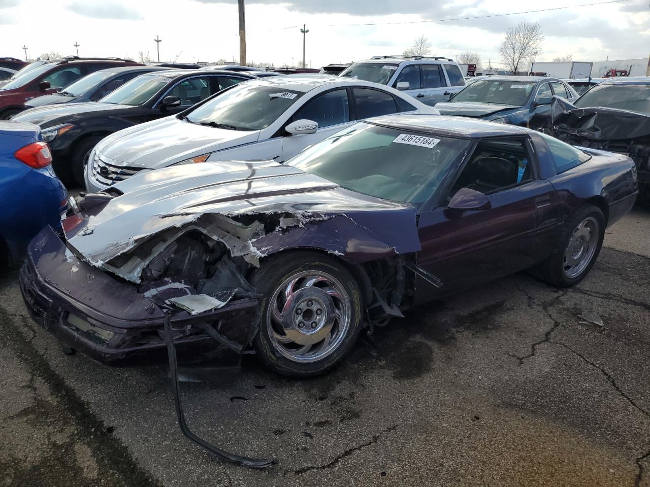 CHEVROLET CORVETTE 1993 1g1yy23p3p5102916