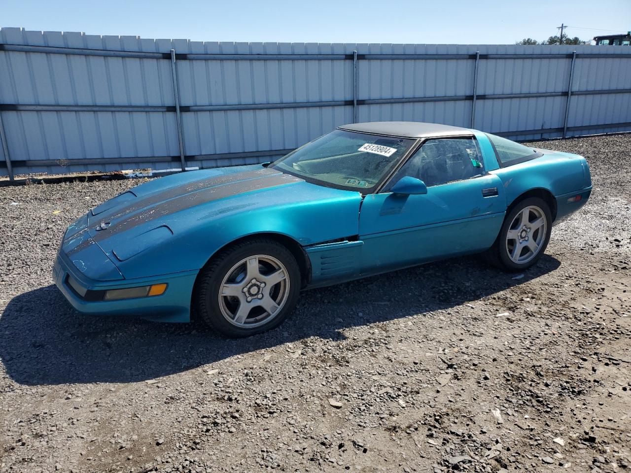 CHEVROLET CORVETTE 1993 1g1yy23p5p5119314