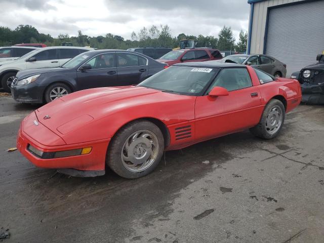 CHEVROLET CORVETTE 1993 1g1yy23p6p5120276