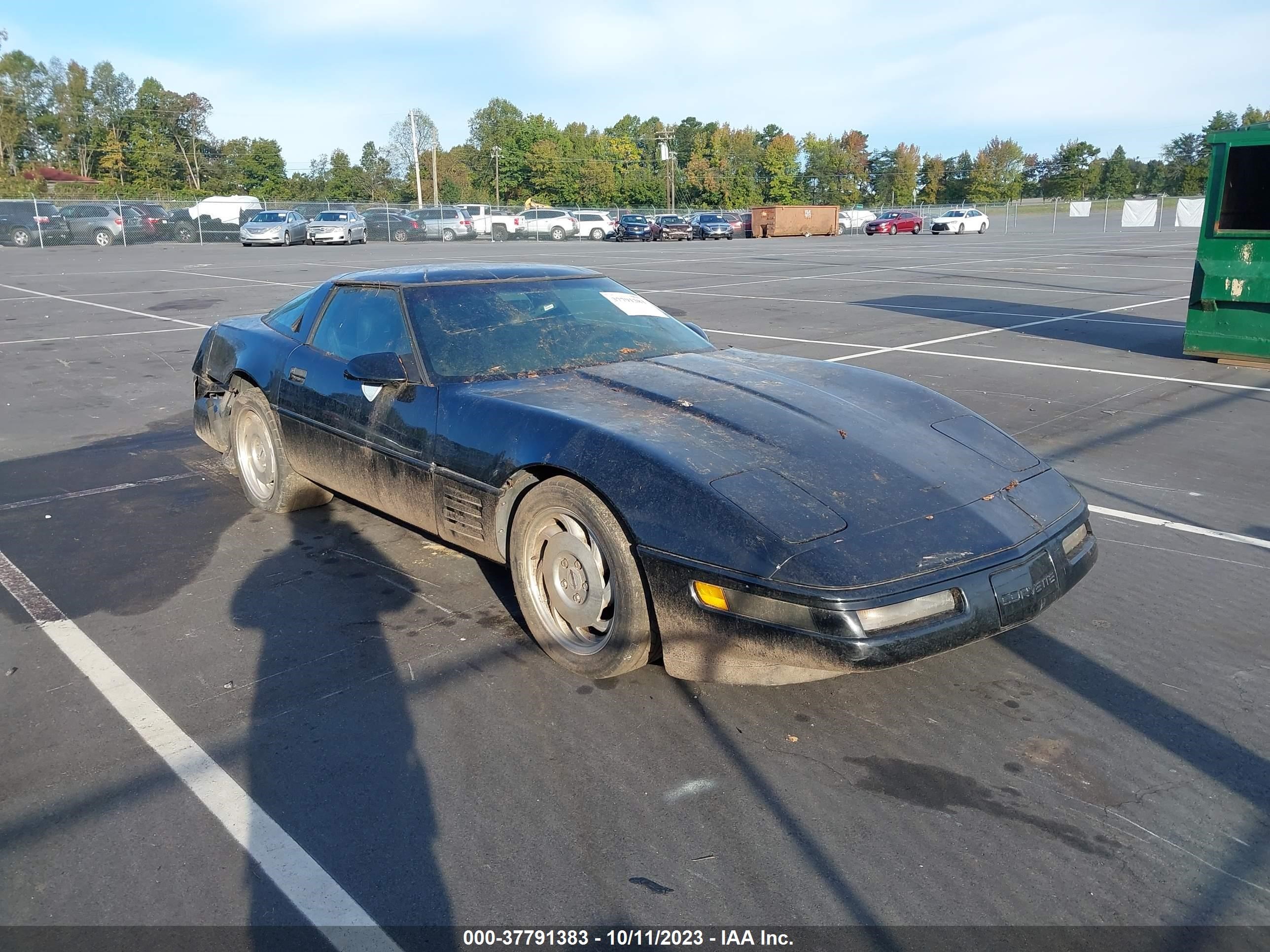 CHEVROLET CORVETTE 1993 1g1yy23p8p5100269