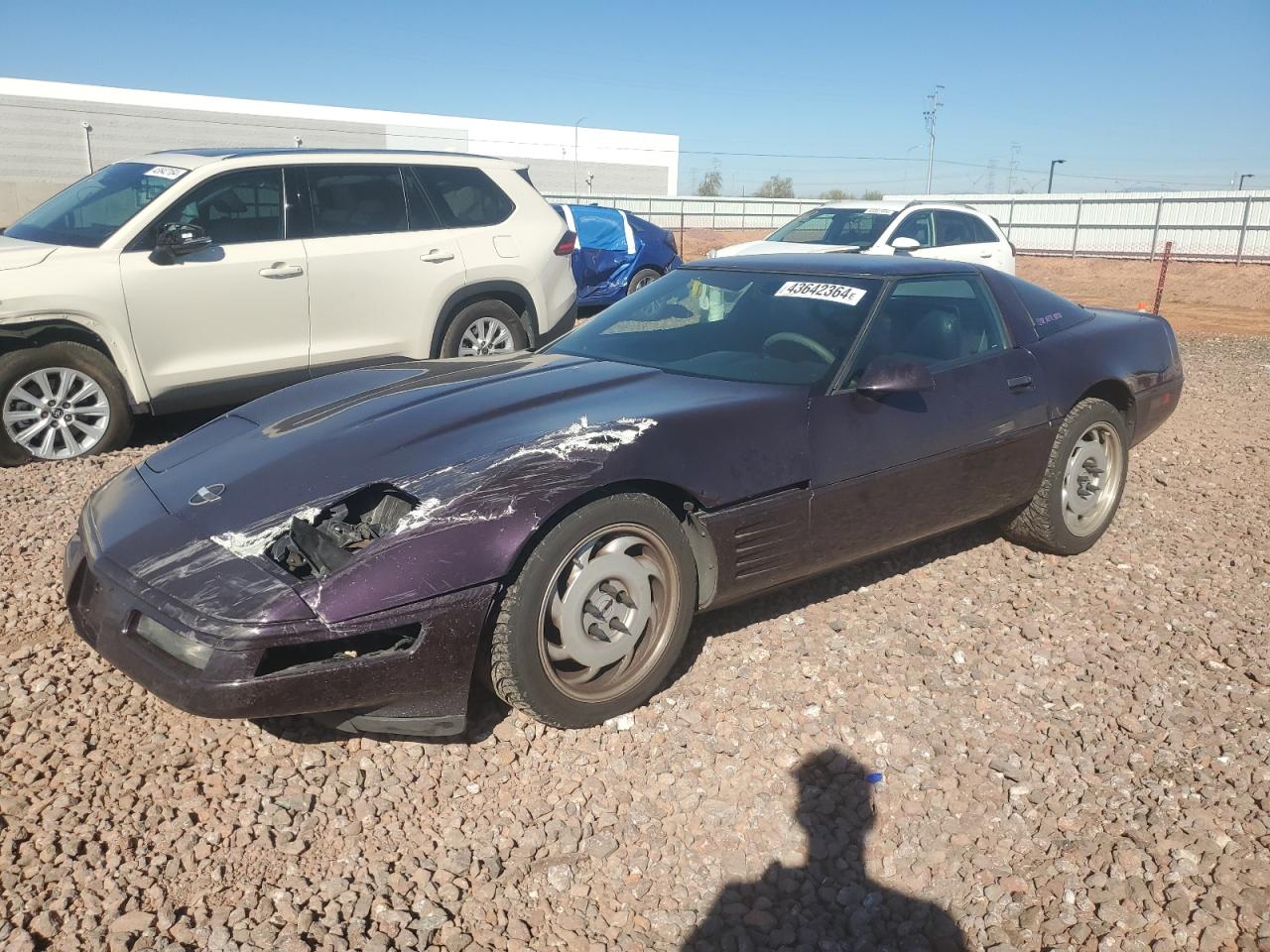 CHEVROLET CORVETTE 1992 1g1yy23pxn5110217