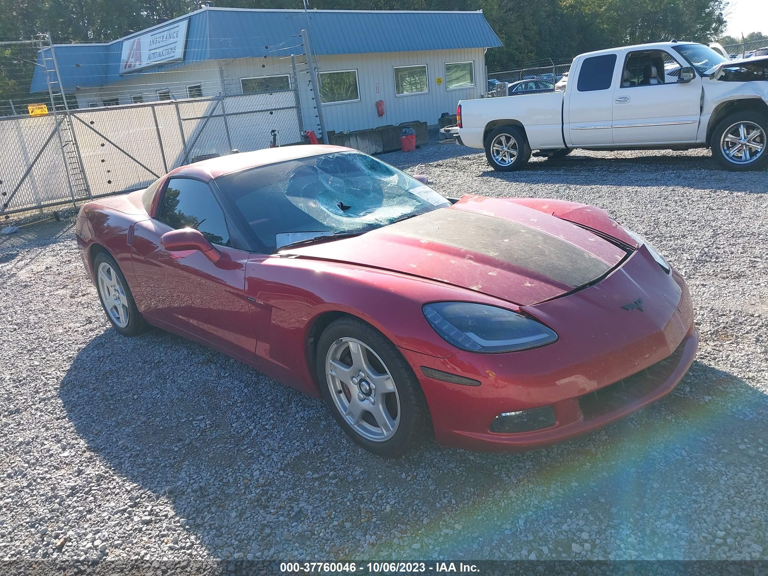 CHEVROLET CORVETTE 2005 1g1yy24u155106156