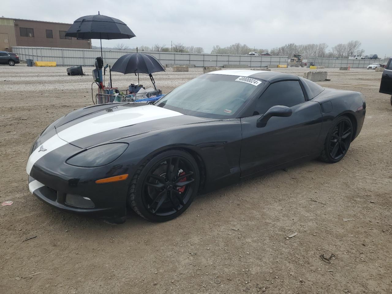 CHEVROLET CORVETTE 2005 1g1yy24u455110489