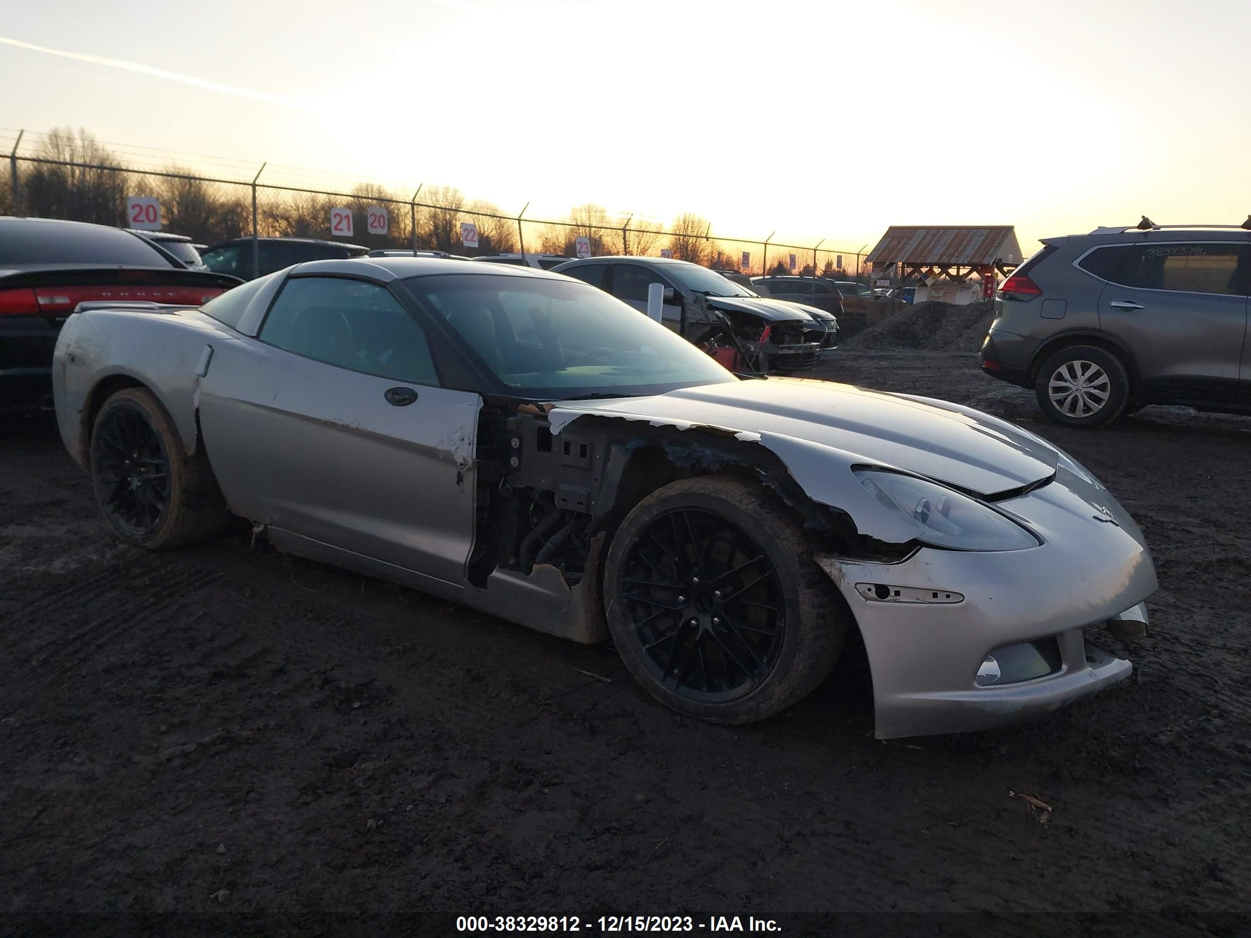 CHEVROLET CORVETTE 2005 1g1yy24u555110310