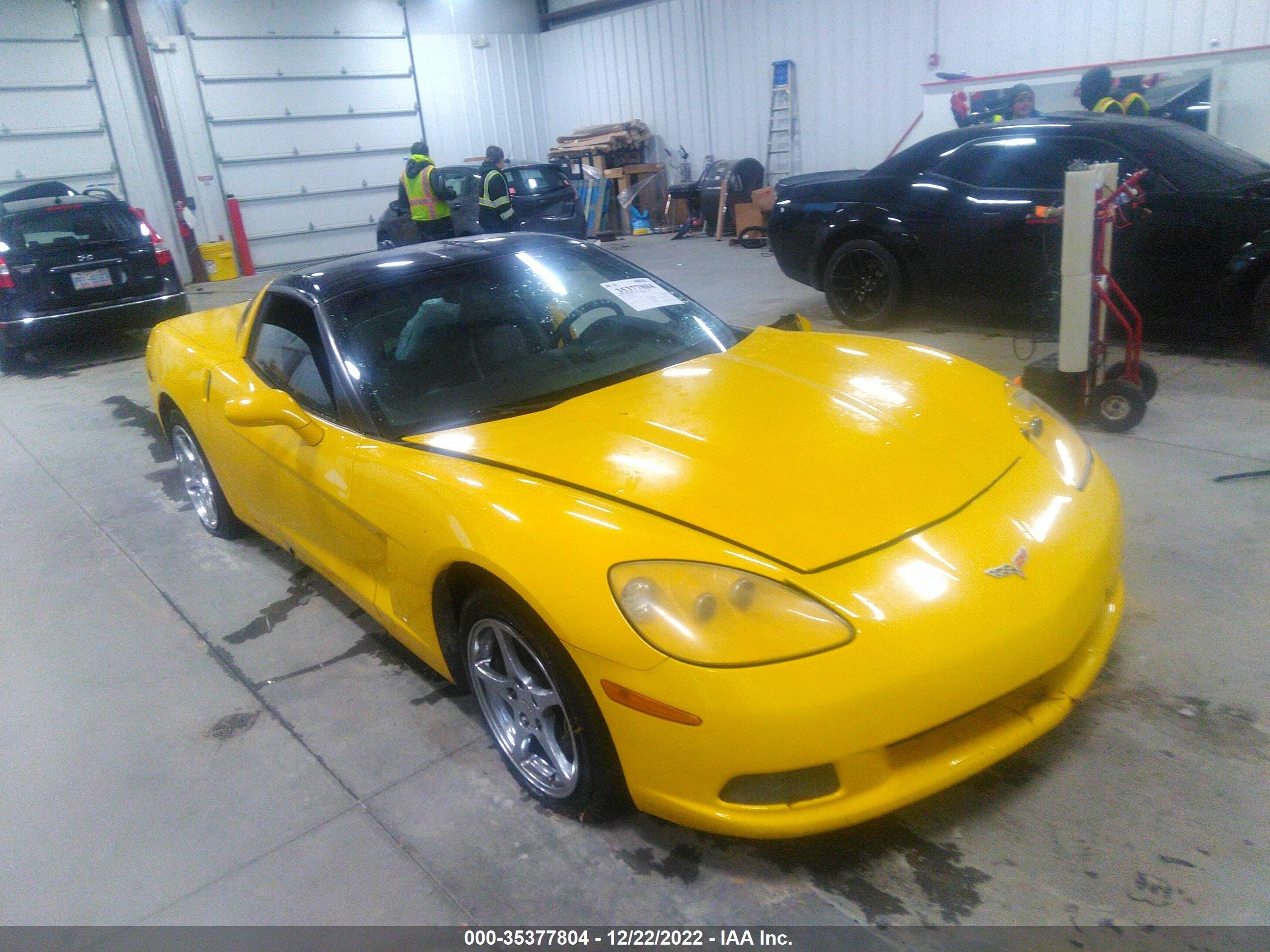 CHEVROLET CORVETTE 2005 1g1yy24ux55109072