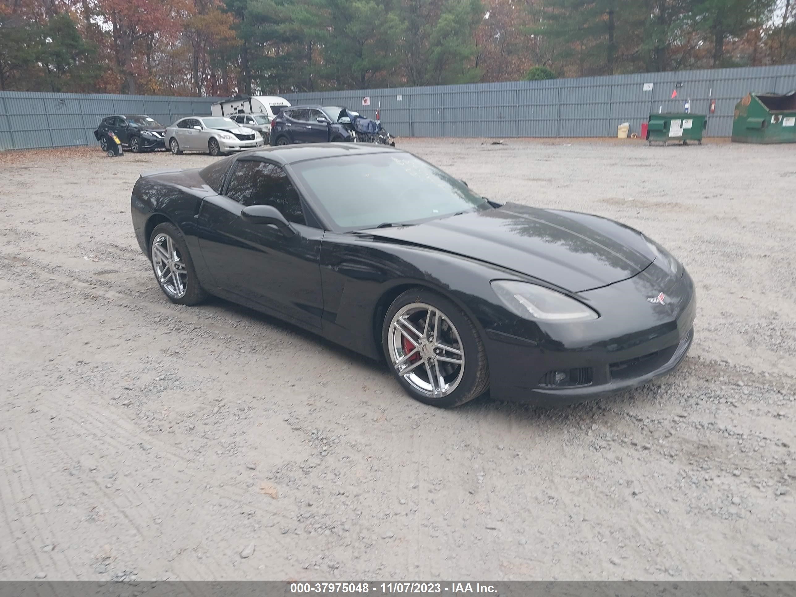 CHEVROLET CORVETTE 2009 1g1yy25w695104201