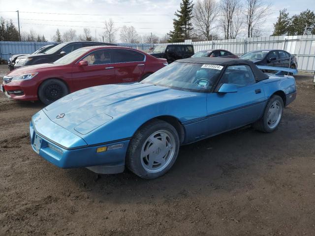 CHEVROLET CORVETTE 1989 1g1yy3186k5117775