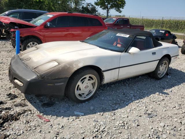 CHEVROLET CORVETTE 1988 1g1yy3188j5120675