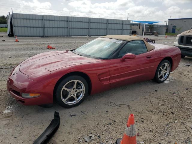 CHEVROLET CORVETTE 2004 1g1yy32g045120227