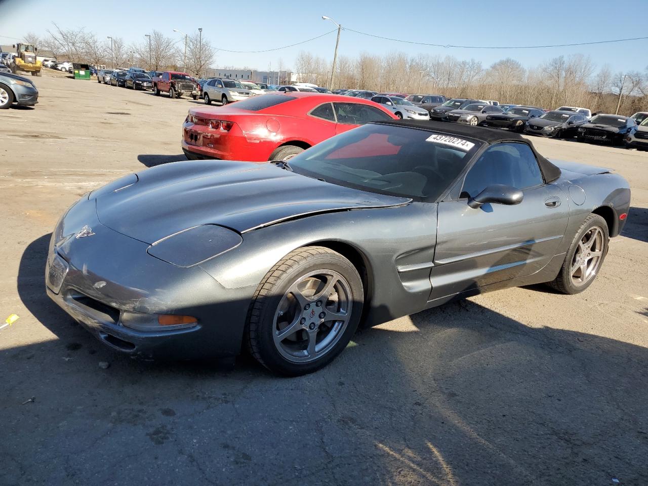 CHEVROLET CORVETTE 2003 1g1yy32g435103591