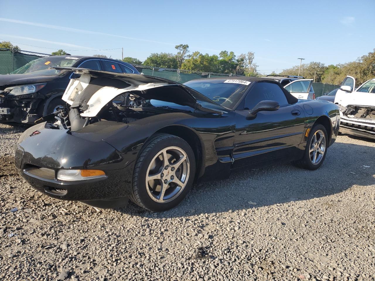 CHEVROLET CORVETTE 2002 1g1yy32g525110287