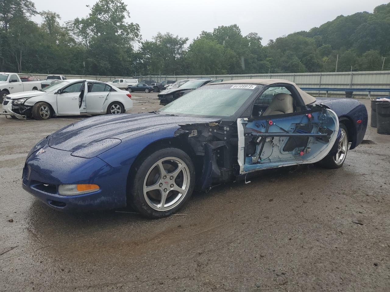 CHEVROLET CORVETTE 2004 1g1yy32g645110687