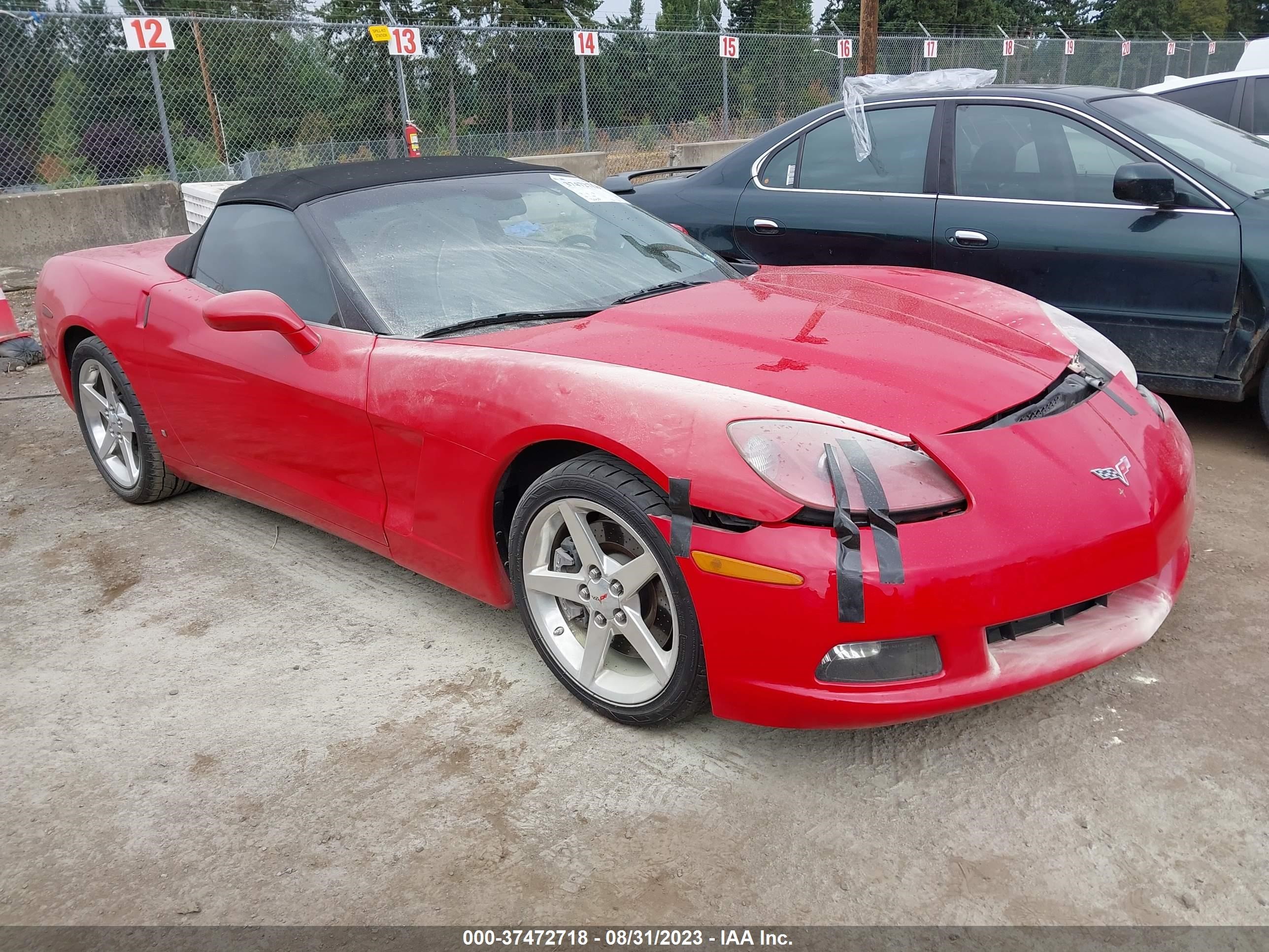 CHEVROLET CORVETTE 2006 1g1yy36u565107539