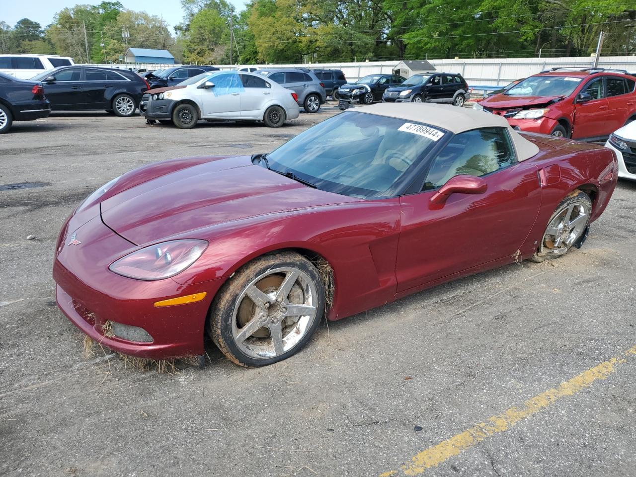 CHEVROLET CORVETTE 2006 1g1yy36u865123038