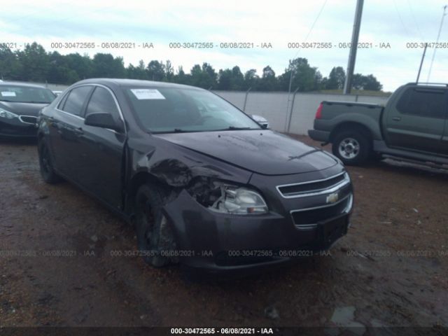 CHEVROLET MALIBU 2010 1g1za5e00a4112360