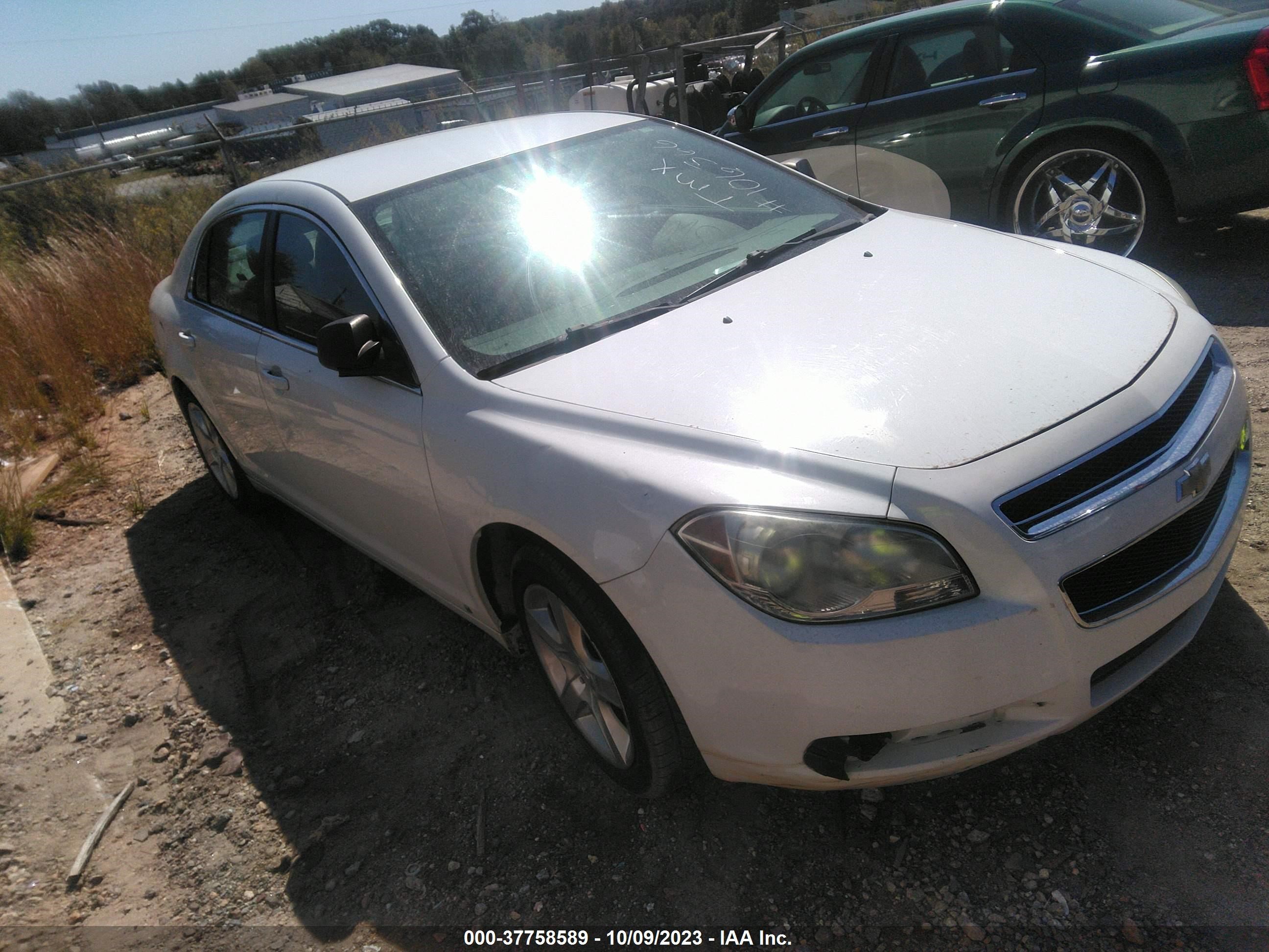 CHEVROLET MALIBU 2010 1g1za5e00af106336