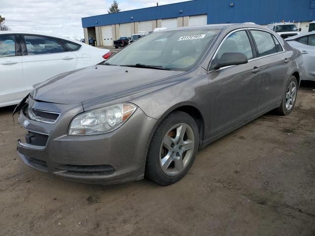 CHEVROLET MALIBU LS 2010 1g1za5e00af238173