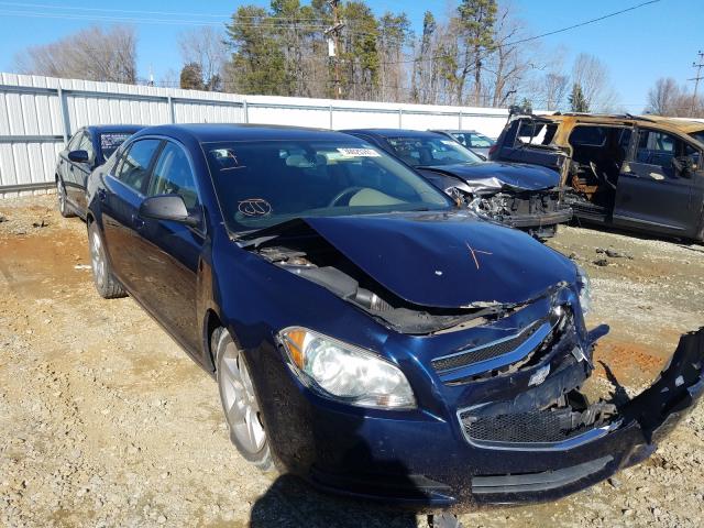 CHEVROLET MALIBU LS 2010 1g1za5e00af242837