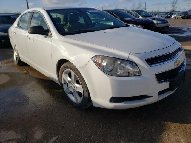 CHEVROLET MALIBU LS 2010 1g1za5e00af281024