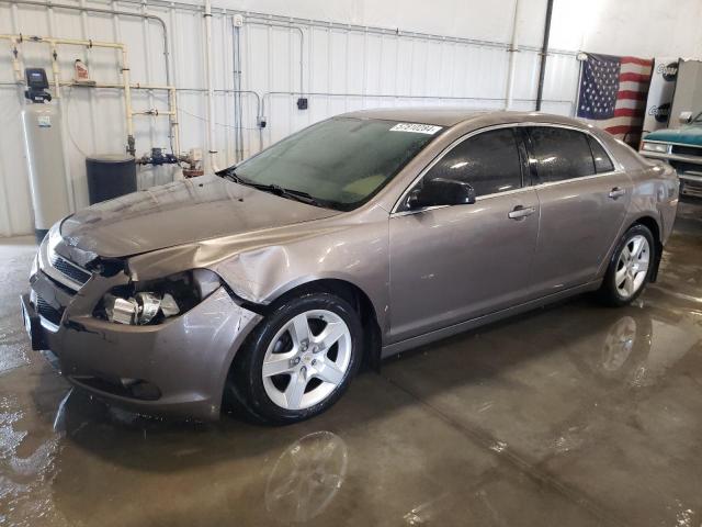 CHEVROLET MALIBU 2010 1g1za5e00af281217