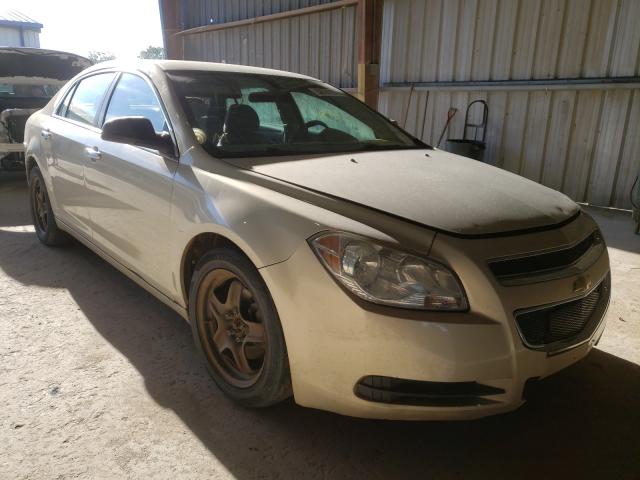 CHEVROLET MALIBU LS 2010 1g1za5e00af282304